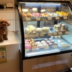 9月22日　在庫情報④