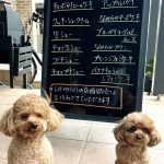 5月30日店頭販売日