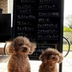 5月2日　店頭販売日