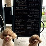 5月20日店頭販売日
