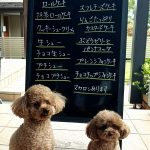 5月27日店頭販売日