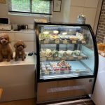 ６月6日　在庫情報①