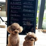 ６月10日　店頭販売日