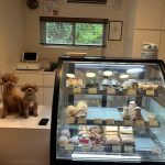 ７月８日在庫情報③