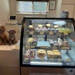 7月25日在庫情報②