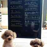 7月8日　店頭販売日