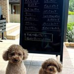 7月18日　店頭販売日