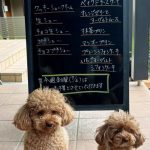 7月1日 店頭販売日