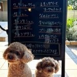 7月29日店頭販売日