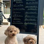 7月15日店頭販売日