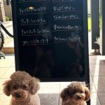 8月22日店頭販売日