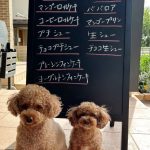8月29日店頭販売日