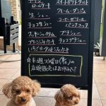 9月12日 店頭販売日