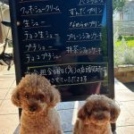 9月2日　店頭販売日