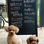 ９月９日店頭販売日