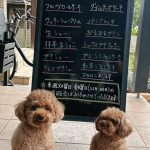 10月17日　店頭販売日
