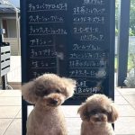 10月28日店頭販売日