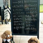 10月31日　店頭販売日