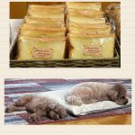 12月10日　商品追加