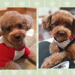 共同購入のお知らせ