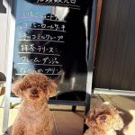 本日限りの店頭販売日